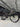 Canyon Endurace CF Di2 LTD - Shimano 105 Di2 - DT Swiss ERC1600