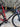 Giant TCR Advanced SL Carbon - SRAM Force AXS 2x12sp - Giant Slr1 carbon wheelset