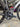 Sensa Giulia Evo Carbon - Shimano Ultegra Di2 2x12sp - Supra RFC58 carbon wheelset
