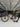 BMC Roadmachine 01 Carbon - SRAM Force AXS 2x12sp - BMC CRD321SL Carbon wheelset