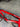 Wilier Cento1NDR Carbon - SRAM Force AXS 2x12sp - Miche carbon wheelset