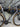 Giant TCR Advanced 0 2013 - Shimano Ultegra Di2 - Giant P-SL0 WheelSystem
