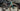 Scott Foil RC20 Carbon - SRAM Rival AXS 2x12sp - Syncros Capital 1.0 carbon
