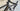 Trek Emonda SLR Carbon - SRAM Force AXS 2x12sp - Bontrager Aeolus 50 carbon