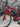 Trek Emonda SL6 Di2 Carbon - Shimano 105 Di2 - Bontrager Aeolus carbon wheelset