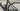 Orbea Orca M20i OMX LTD 2025 - Shimano Ultegra Di2 2x12sp - Vision SC40 Carbon