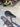 Specialized S-Works Tarmac SL8 2024 - Shimano Dura-Ace Di2 2x12sp - Roval Rapide CLX II