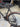 Trek Emonda SLR Carbon - SRAM Red eTap - Bontrager Aeolus Pro 37 carbon