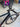 Giant TCR Advanced SL Carbon - SRAM Force AXS 2x12sp - Giant Slr1 carbon wheelset