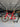 Trek Madone SLR7 Carbon - Shimano Ultegra Di2 2x12sp - Victoria Elusion 42mm carbon