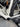 Trek Madone SLR Carbon - SRAM Force AXS 2x12sp - Bontrager Aeolus Pro 51 carbon