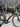 Scott Addict RC15 Carbon - Shimano Ultegra Di2 2x12sp - Syncros Capital 1.0 carbon