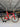 Trek Madone SLR7 Carbon - Shimano Ultegra Di2 2x12sp - Victoria Elusion 42mm carbon
