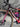 Specialized S-Works Tarmac SL7 - Shimano Dura-Ace Di2 2x12sp - Gipiemme Carbon