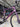 BMC Roadmachine 01 Carbon - SRAM Force AXS 2x12sp - BMC CRD321SL Carbon wheelset