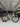 Apex Flare Carbon - Shimano Ultegra - Handmade carbon wheelset