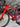 BMC Timemachine SLR01 Carbon - Shimano Ultegra Di2 2x12sp - Fulcrum Speed carbon wheelset