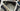 Trek Madone SLR Carbon - SRAM Force AXS 2x12sp - Bontrager Aeolus Pro 51 carbon