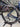 Canyon Endurace All-Road - SRAM Rival AXS 2x12sp - FFWD Drift carbon wheelset