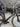 Sensa Giulia Evo Integrale - Shimano Dura-Ace Di2 2x12sp - Supra RFC 50 Elite Disc carbon