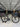 BMC Roadmachine 02 ONE Di2 - Shimano Ultegra Di2 - Zipp 303s