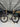 Giant TCR Advanced SL - SRAM Force AXS 2x12sp - Giant SLR1 carbon wheelset