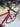 Canyon Ultimate CF SL - Shimano Ultegra Di2 2x12sp - DTSwiss alu wheels