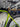 Merida Scultura 5000 - Shimano Ultegra - Handmade Carbon