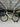 Orbea Terra M31eTEAM 1X - SRAM Rival AXS - Aluminium