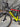 De Rosa Merak Carbon - Shimano Ultegra Di2 2x12sp - Zipp 404 Firecrest