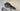 Ridley Grifn Di2 Carbon - Shimano 105 Di2 - Aluminium