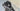 Specialized S-Works Crux Gravel Fiets - Shimano GRX Di2 - Zipper 303s carbon
