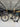 Trek Emonda SLR Carbon - SRAM Rival AXS 2x12sp - Bontrager Aeolus carbon wheelset