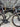 Giant TCR Advanced SL 4 2013 - Shimano Ultegra - Giant P-SL0 WheelSystem