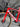 Trek Madone SLR7 Carbon - Shimano Ultegra Di2 2x12sp - Victoria Elusion 42mm carbon