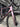 Giant Propel Advanced - SRAM Rival AXS 2x12sp - Giant SLR2 carbon wheelset