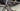 Giant TCR Advanced SL 4 2013 - Shimano Ultegra - Giant P-SL0 WheelSystem