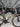 Giant TCR Advanced 0 2013 - Shimano Ultegra Di2 - Giant P-SL0 WheelSystem