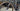 Specialized Tarmac SL6 - Shimano Ultegra Di2 2x12sp - Roval Carbon