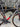 Wilier Garda Carbon - Shimano Ultegra - Aluminium