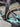 Bianchi Aquila CV - Shimano Dura-Ace Di2 - Vision SC 55 carbon