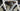 Pinarello Dogma F12 - Shimano Dura-Ace Di2 2x12sp - Ere Research Omnia II CLR45