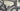 Scott Foil 10 Carbon - SRAM Force AXS 2x12sp - Syncros Capital 1.0 carbon