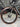 Specialized S-Works Roubaix - SRAM Red eTap - Carbon wheelset