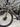 Giant TCR Advanced SL - SRAM Force AXS 2x12sp - Giant SLR1 carbon wheelset