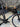 BMC Teammachine SLR - Shimano 105 - Mavic open pro
