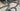 Specialized Roubaix Expert 2020 - Shimano Ultegra - Roval C 38 Disc