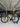 Canyon Ultimate CF SL - Shimano Ultegra - FFWD carbon wheelset