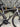 Specialized S-Works Tarmac SL6 - Shimano Ultegra Di2 2x12sp - Roval C38 Carbon