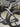 Trek Madone SL7 - Shimano Ultegra Di2 2x12sp - Bontrager Aeolus Pro 51 carbon